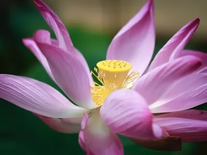 I Am Ready To Be Seen