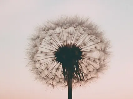 I Am Ready To Forgive