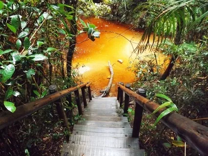 I Am Real Self, Illuminating The World 