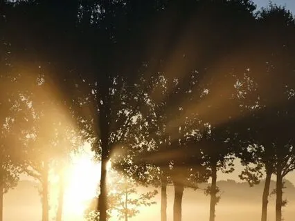 I Am Renewed | Morning Affirmations To Anchor Body & Soul