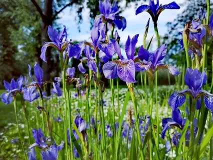 I Am Safe (Extended Version)