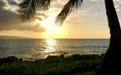 I Am Safe, I Am Connected, I Belong