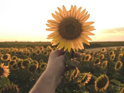 I Am Safe, I Am Loved