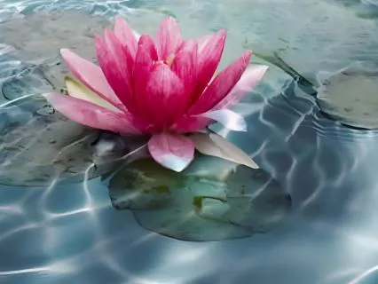 I Am Safe In This Moment