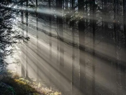 I Am Safe: Nervous System Regulation Subliminal