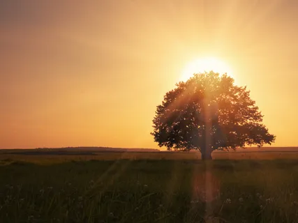 I Am Safe - Support To Heal Terror From Abuse Or Trauma