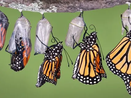 I Am Smart Enough: Transformative Affirmations