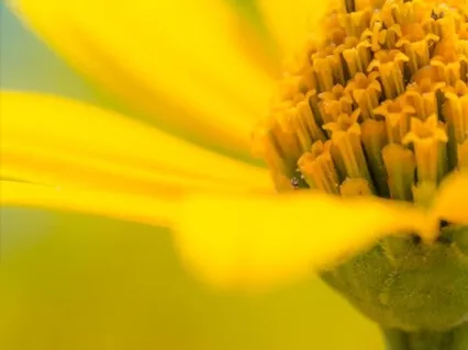 I Am So Grateful For You!