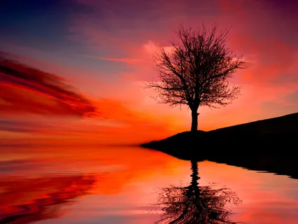 Soothing - Insight Timer Meditation #2