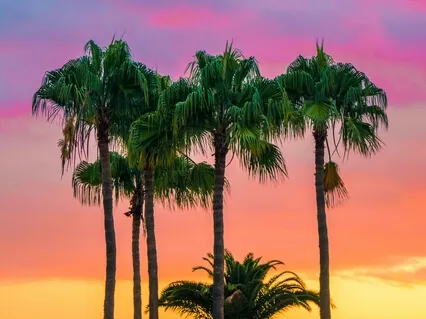 I Am Sound By Jasmin Harsono For Emerald And Tiger