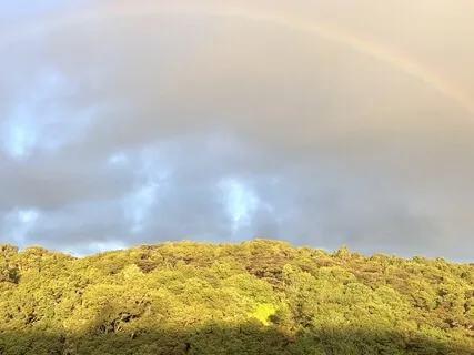 I Am The Light Of My Soul - Self Honouring