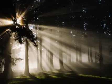 I Am The Light Of The World (528hz)