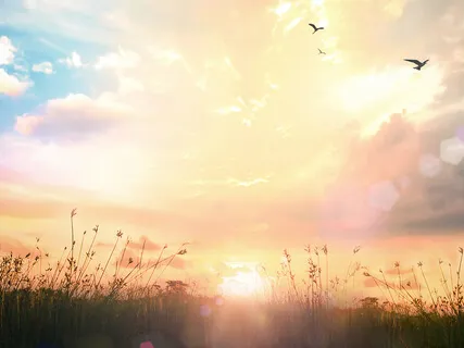 I Am The Morning Light 