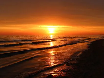 I Am Wealth Meditation