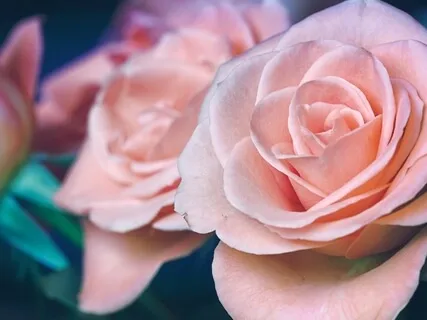 I Am Whole - Yoga Nidra #1