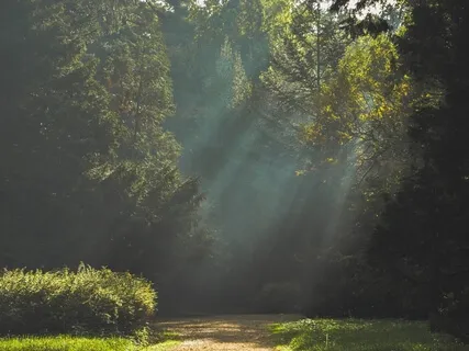 Affirming Willingness To Become Your Future Best Self