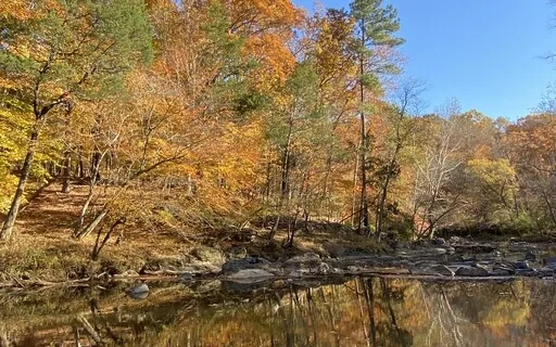 I Am With My Breath Right Now