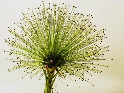 I Am Worthy - Affirmations To Build Self Worth