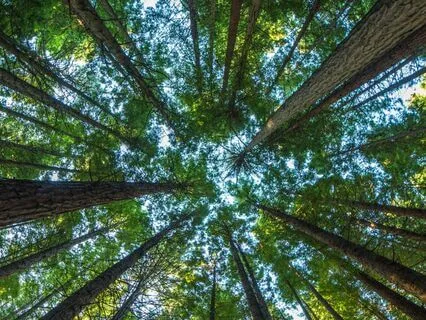 I Am Worthy And Enough