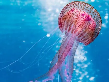 I Am Worthy: Confidence Affirmations