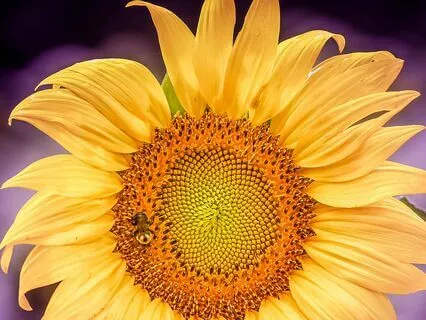 "I Am Worthy" | Embody The Element Of Fire