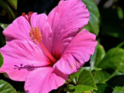 I Am Worthy, Exactly As I Am