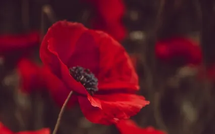 I Am Worthy — Root Chakra Energy Clearing