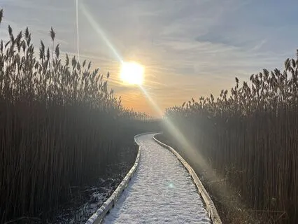 I Am Yoga Nidra: Becoming Awareness, Returning To Source