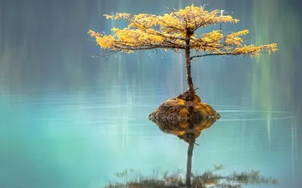 I Am Yoga Nidra: Divine Mother