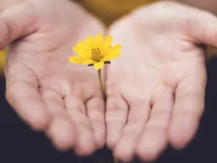 I AM Yoga Nidra Emotional Integration