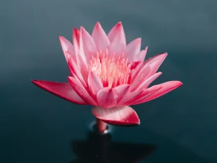 I AM Yoga Nidra For Connection