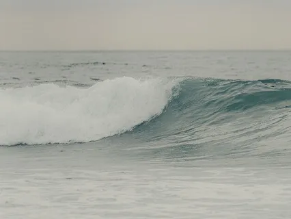 I AM Yoga Nidra For Growth