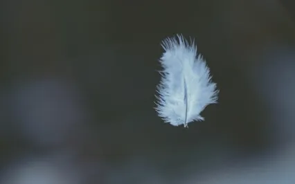 I Am Yoga Nidra For Relaxation