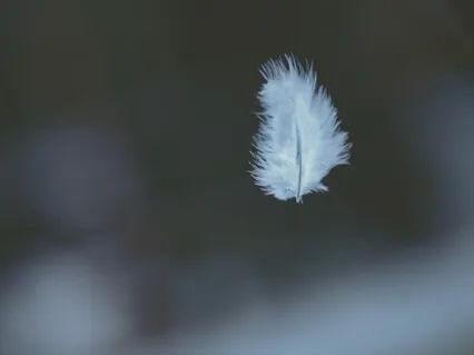 I Am Yoga Nidra - Grace