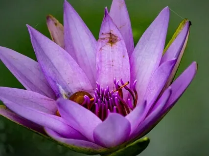 I AM Yoga Nidra: I Let Go Of What I No Longer Need