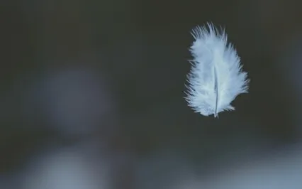 I Am Yoga Nidra- Satya