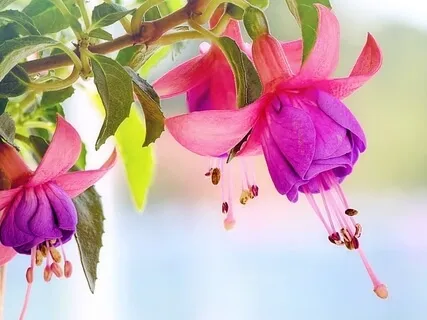 I Believe In Me-You-Us Mantra Song