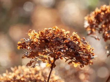 I Believe In Myself Affirmations