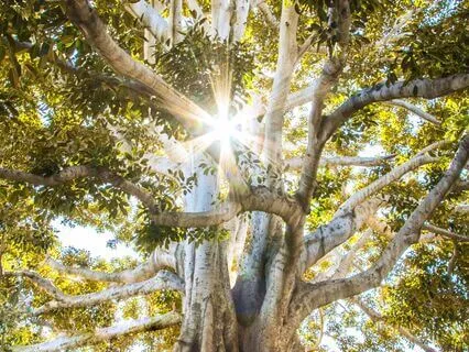 I Belong Here | Washing Away Imposter Syndrome