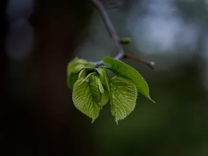 I Breathe & That's It