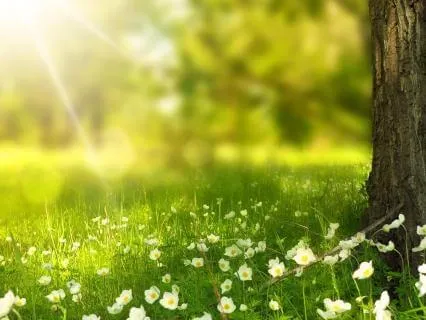 I Can Be Kind To Myself | Self-Compassion Affirmations