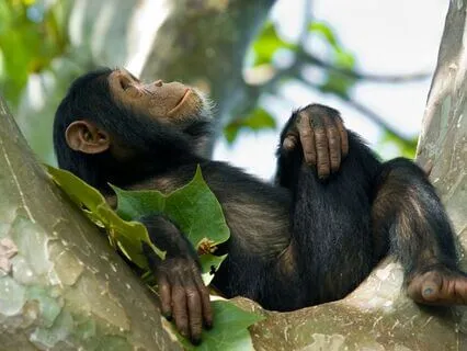 I Can Do This: Ignite Energy Breathwork