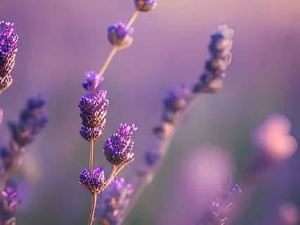 I Can Find Safety In This Moment