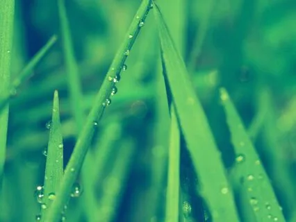 I Can Handle All Of It