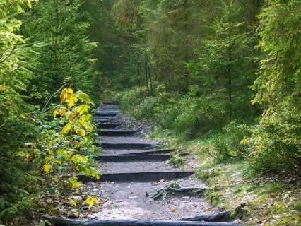 I Can Heal My Wounds.