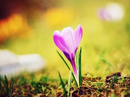 I Can, I See, I Am: Receptivity