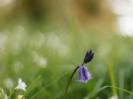 I Can Remember How Worthy I Am - Long Version