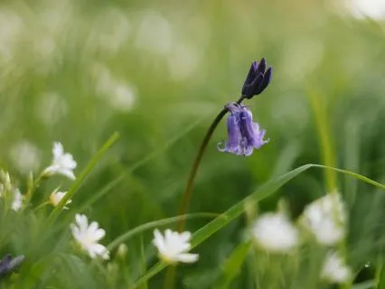 I Can Remember How Worthy I Am - Short Version