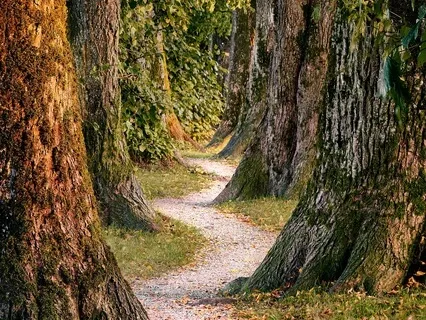 I Can’t Sleep – A Surprisingly Sleepy Success Story