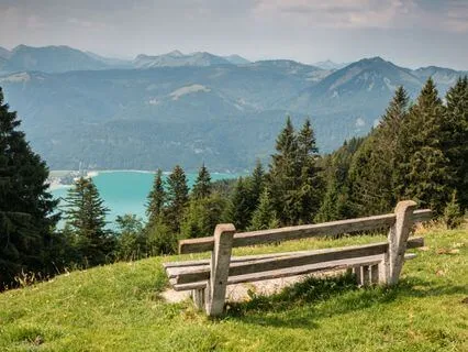 I Can't Sleep: Insect Facts